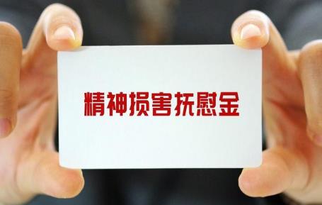 国家赔偿精神抚慰金赔偿标准2024年