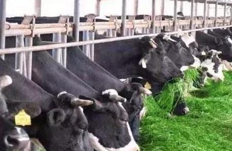 畜禽养殖场备案管理办法最新版