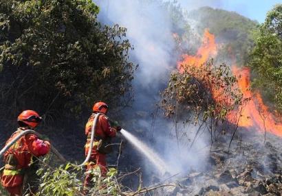 2026年森林草原防灭火条例最新版