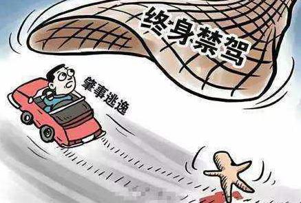 撞人后逃逸保险公司赔偿吗?