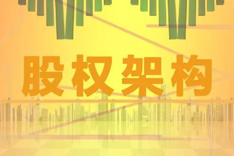 公司股权分配