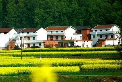 农村宅基地继承权