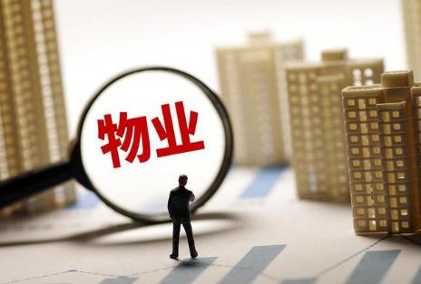 前期物业服务合同