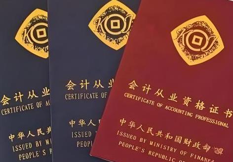 注册会计师法