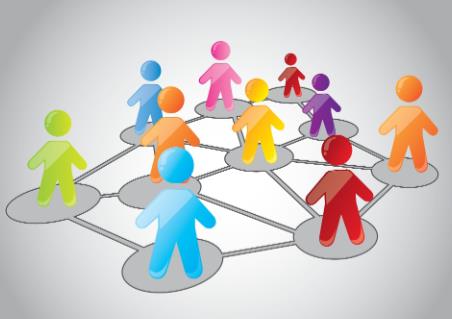 社会团体分支机构