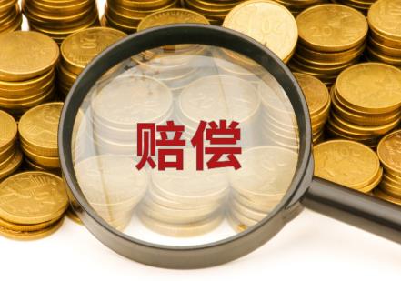 南宁市人身侵权损害赔偿标准最新2026年