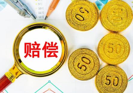 海口市人身侵权损害赔偿标准最新2026年