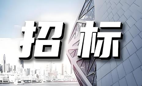 2026年工程招标流程步骤详解
